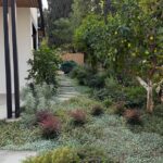 מחשבון הקמת גינה - רעיונות לעיצוב גינה קטנה עם ריצוף אבני מדרך וצמחייה מטפסת