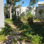 רעיונות לגינה ביתית