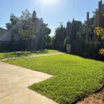 רעיונות לעיצוב גינה קטנה