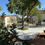 קטלוג עיצוב גינות