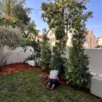 תכנון ועיצוב גינות