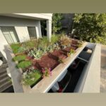 עיצוב גינות יוקרה