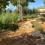 עיצוב גינה למוסדות