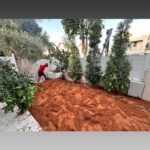 גינות מעוצבות תמונות