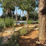 קטלוג עיצוב גינות: גינה בסגנון מודרני עם קווים נקיים ובטון חשוף